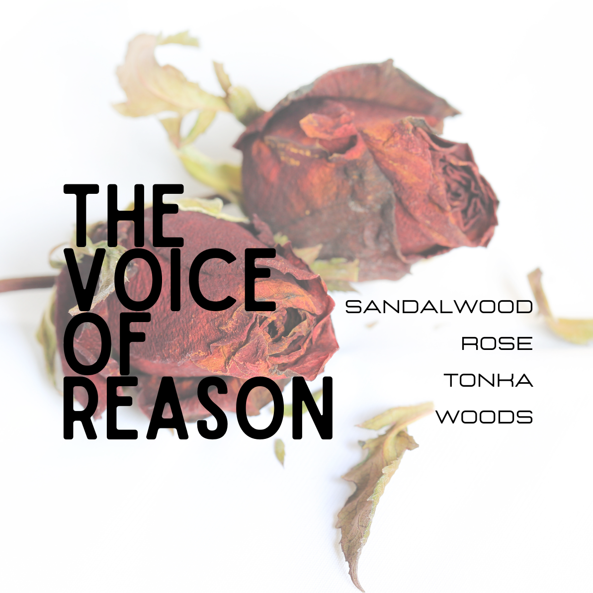 Dried roses with text 'The Voice of Reason' and product name on a white background