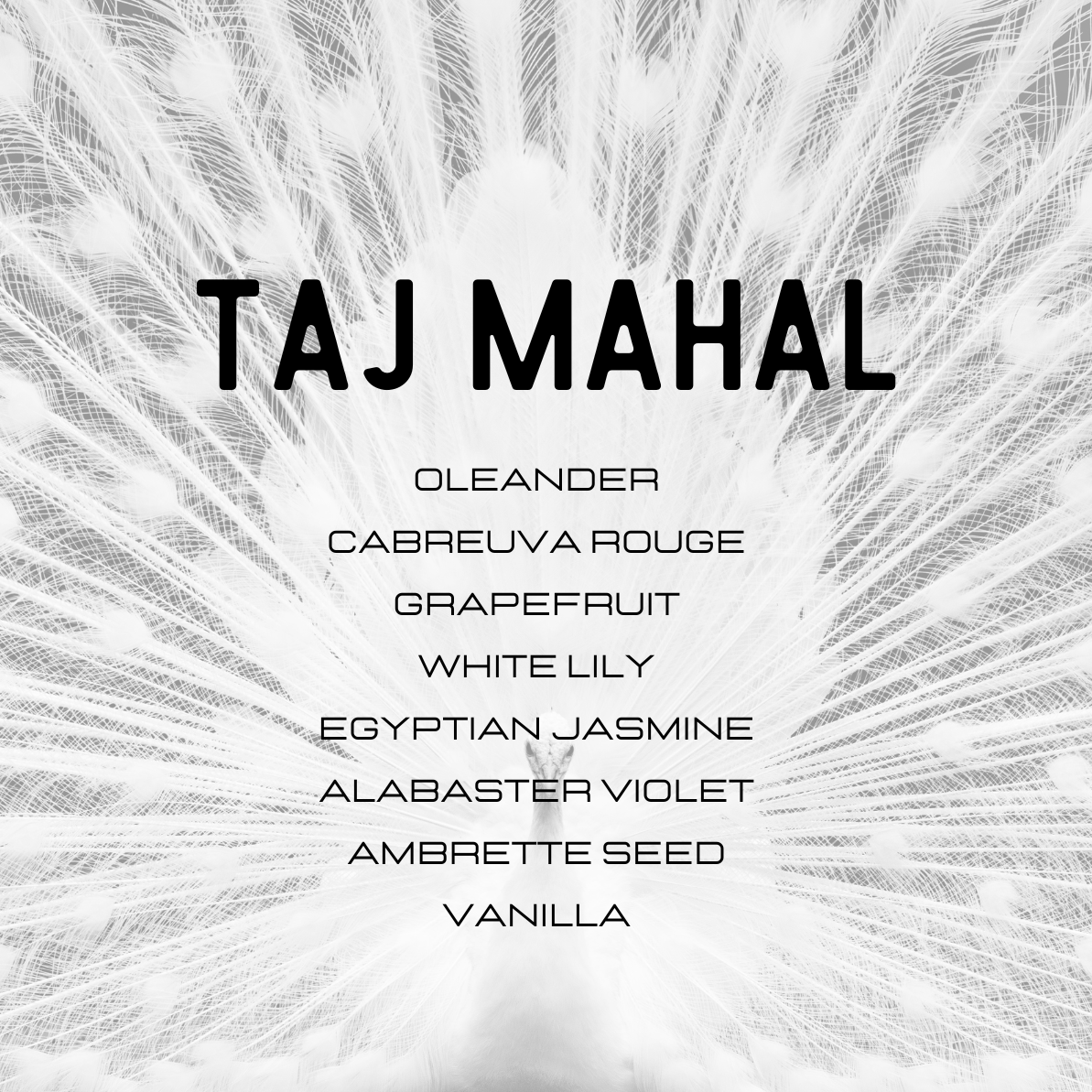 Text listing scents with 'Taj Mahal' at the top on a white background with black text.